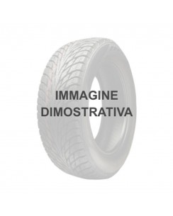 225/45 R17 91H RADBURG POWER ALPIN 3 Pneumatici invernali 